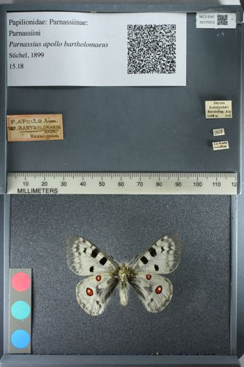 Media type: image;   Entomology 175315